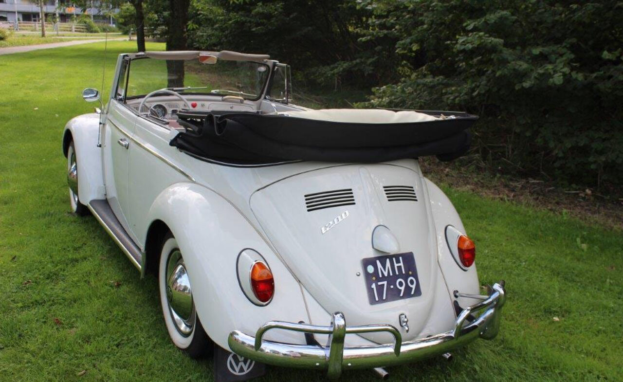 Kever cabrio 1963 schuin van achteren met opgevouwen dak op een grasveld.