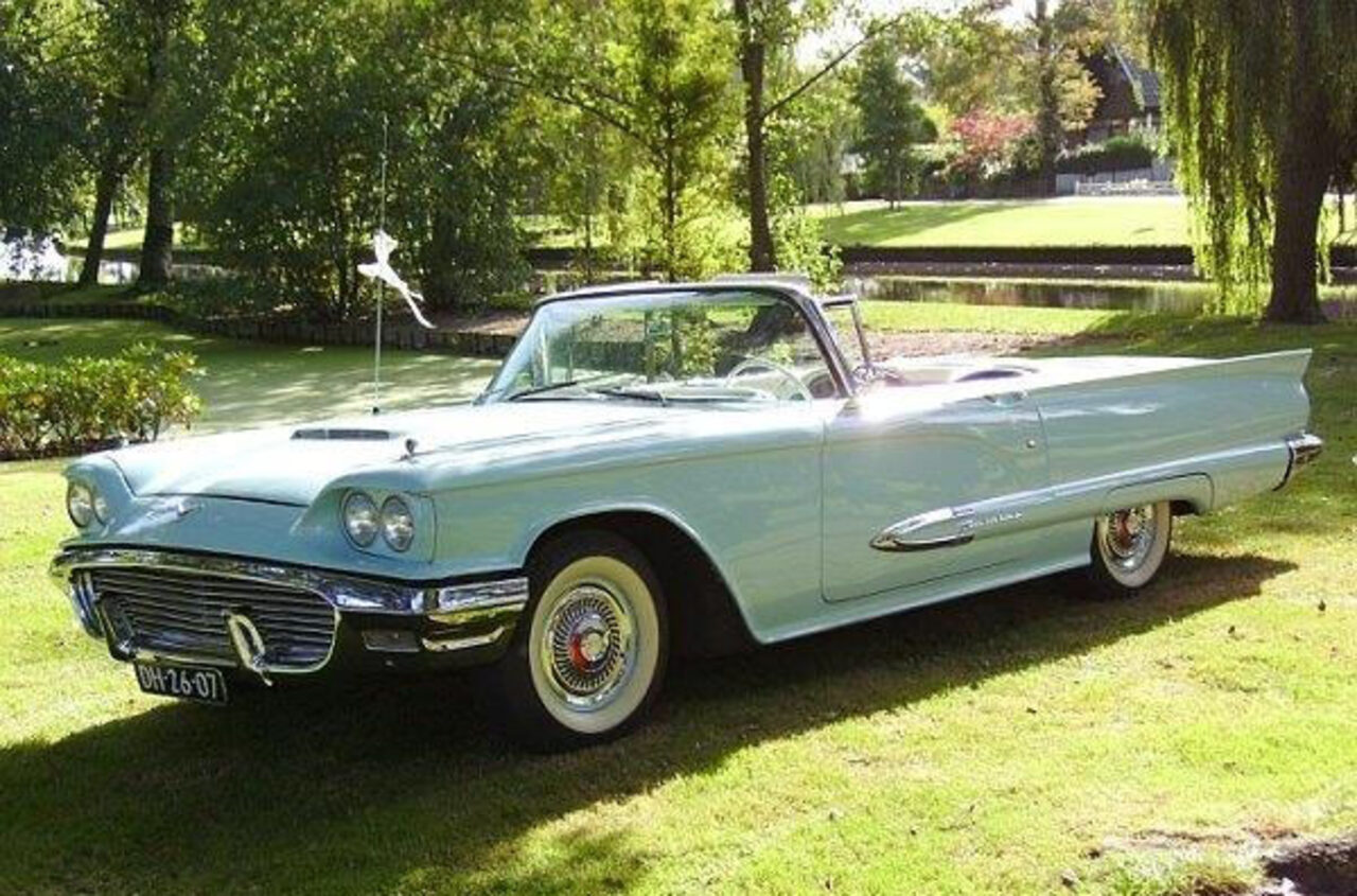 Poederblauwe Ford Thunderbird uit 1959 met open dak, in profiel op een grasveld langs het water in een park.